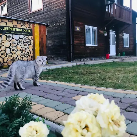 дерев*яна хата Дом отдыха Верховина