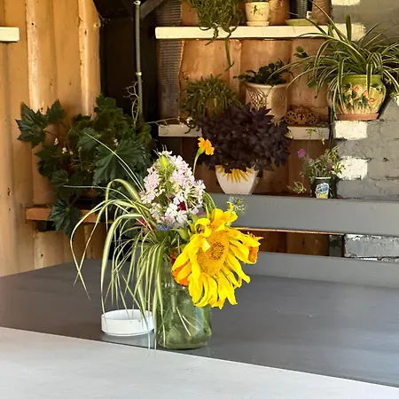 дерев*яна хата בית נופש *