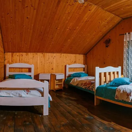 Prázdninový dům дерев*яна хата Verchovyna